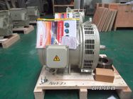 Home Three-Phase Double Bearing Generator 100% Copper 2/3 Pitch