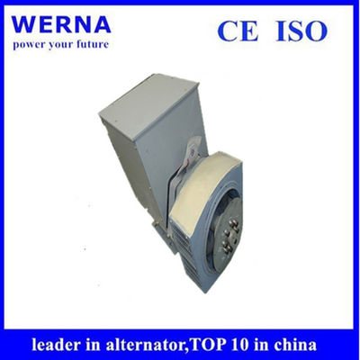 Mua Three-Phase Induction Generators Low THF and Copper Winding Material for Sustainable Power Generation online manufacture