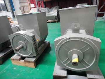 Double Bearing Single Phase Alternator