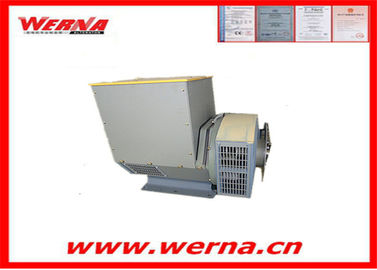 Máy thay thế 3 pha 110-240V 12/6 Sợi không chải làm mát bằng không khí